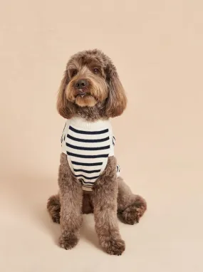 Chien Sweater