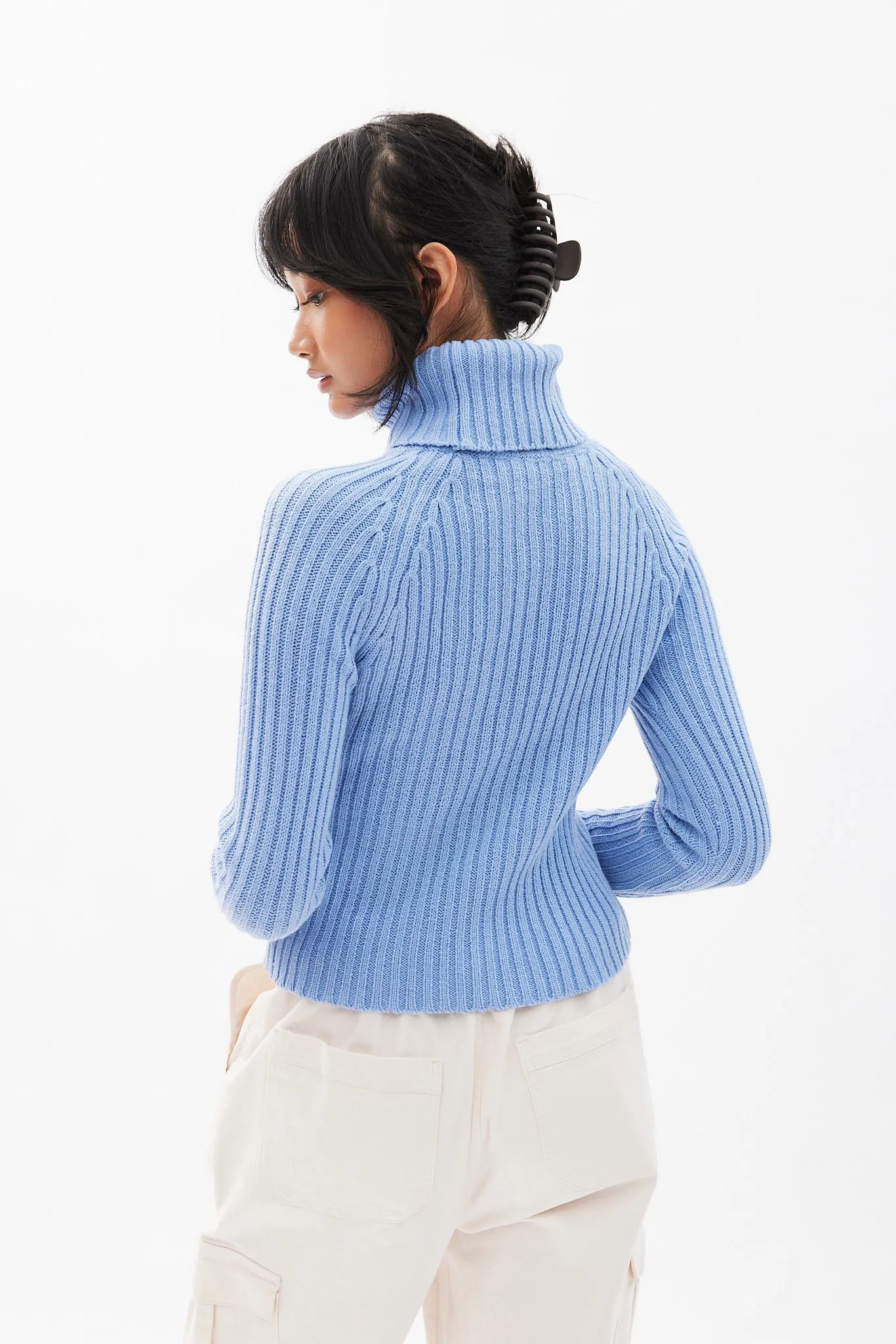 Ribbed Long Sleeve Turtleneck Sweater