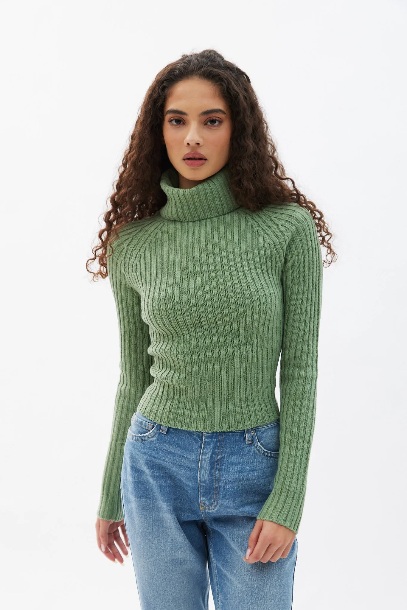 Ribbed Long Sleeve Turtleneck Sweater